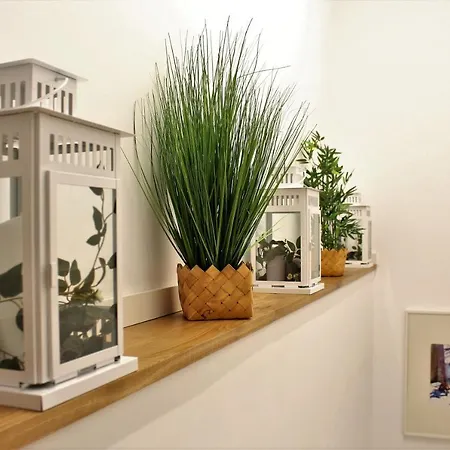 Prime Apartment *